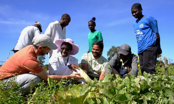 Stronger Crops, Lower Costs: Natural Farming in Zambia