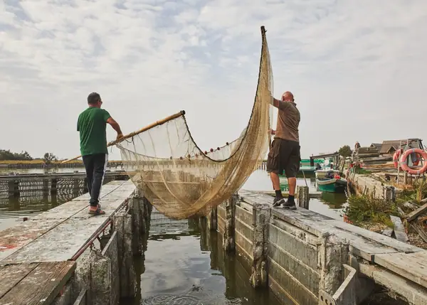 Fatty, Moist, and Perfectly Crisp When Grilled, No Wonder Eel Is a Big Deal In This Adriatic Town