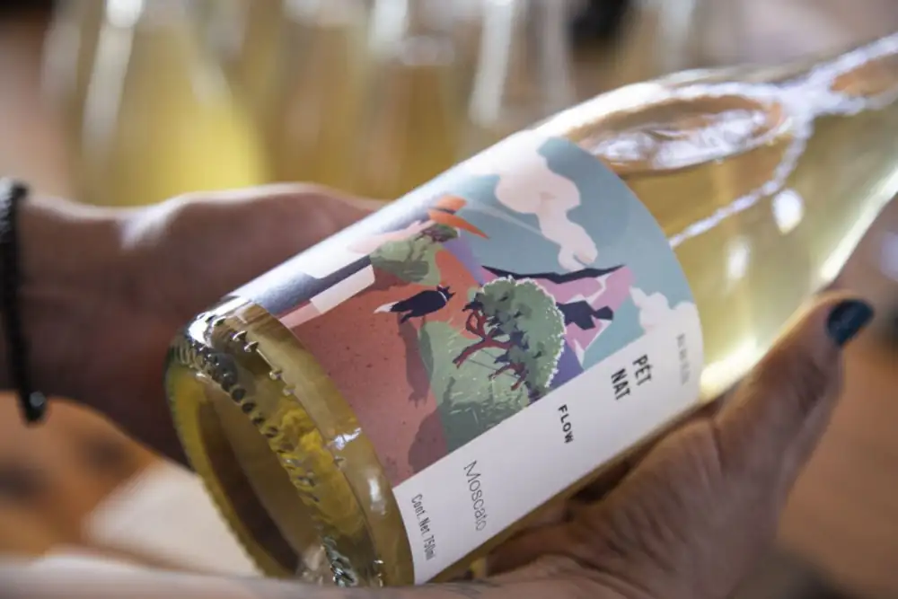 The Wild Side, A Mexican Natural Wine You Have to Try