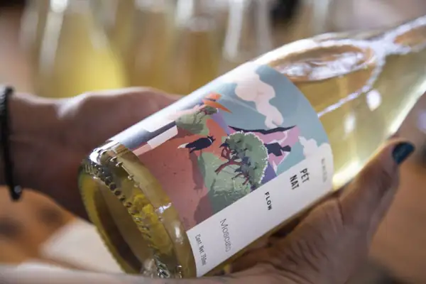 The Wild Side, A Mexican Natural Wine You Have to Try