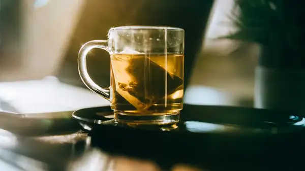 Here's How Many Times You Can Reuse A Tea Bag Before Losing Flavor