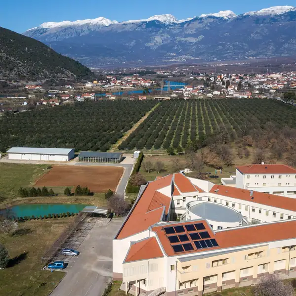 In Potoci, a Tasting Room Signals a New Era for Bosnian Olive Oil