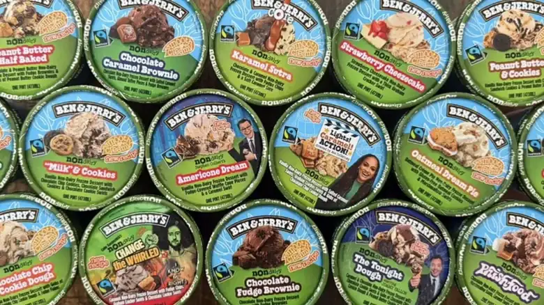 The Hands-Down Best Ben & Jerry's Non-Dairy Ice Cream Flavor Was Made For Chocolate Lovers