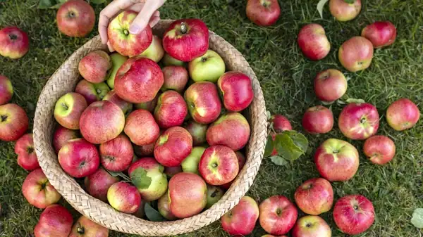Haz que las manzanas insípidas sepan mejor con una pizca de este ingrediente básico de todos los días