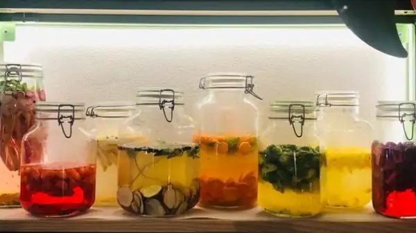 Aromaticus in Trastevere: five healthy dishes to try (and fermented sauerkraut)
