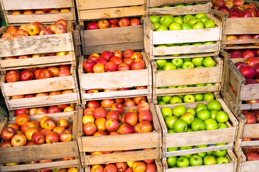 Las manzanas fueron clave para las exportaciones récord de Brasil en el primer semestre de 2026