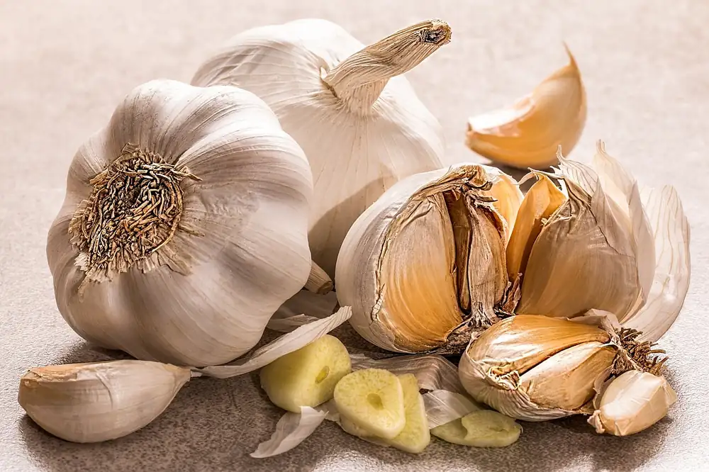 Garlic pickled in oil and salt