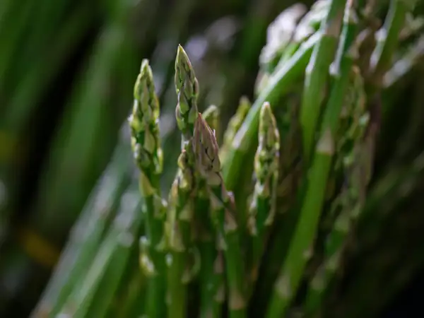 One ingredient, countless ways to prepare it: asparagus around the world