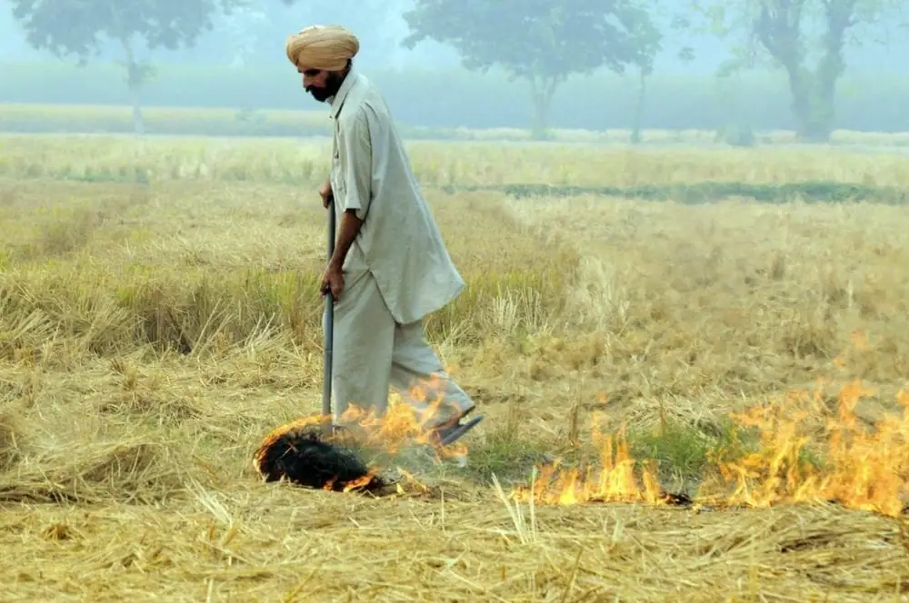 Realigning capital market access to scale up climate-resilient agriculture in post-Covid India