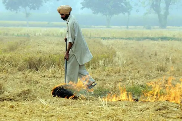 Realigning capital market access to scale up climate-resilient agriculture in post-Covid India