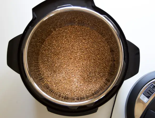 How to Cook Wheat Berries