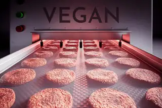 Scientists tested 212 plant-based meat alternatives. Every one contained fungal toxins