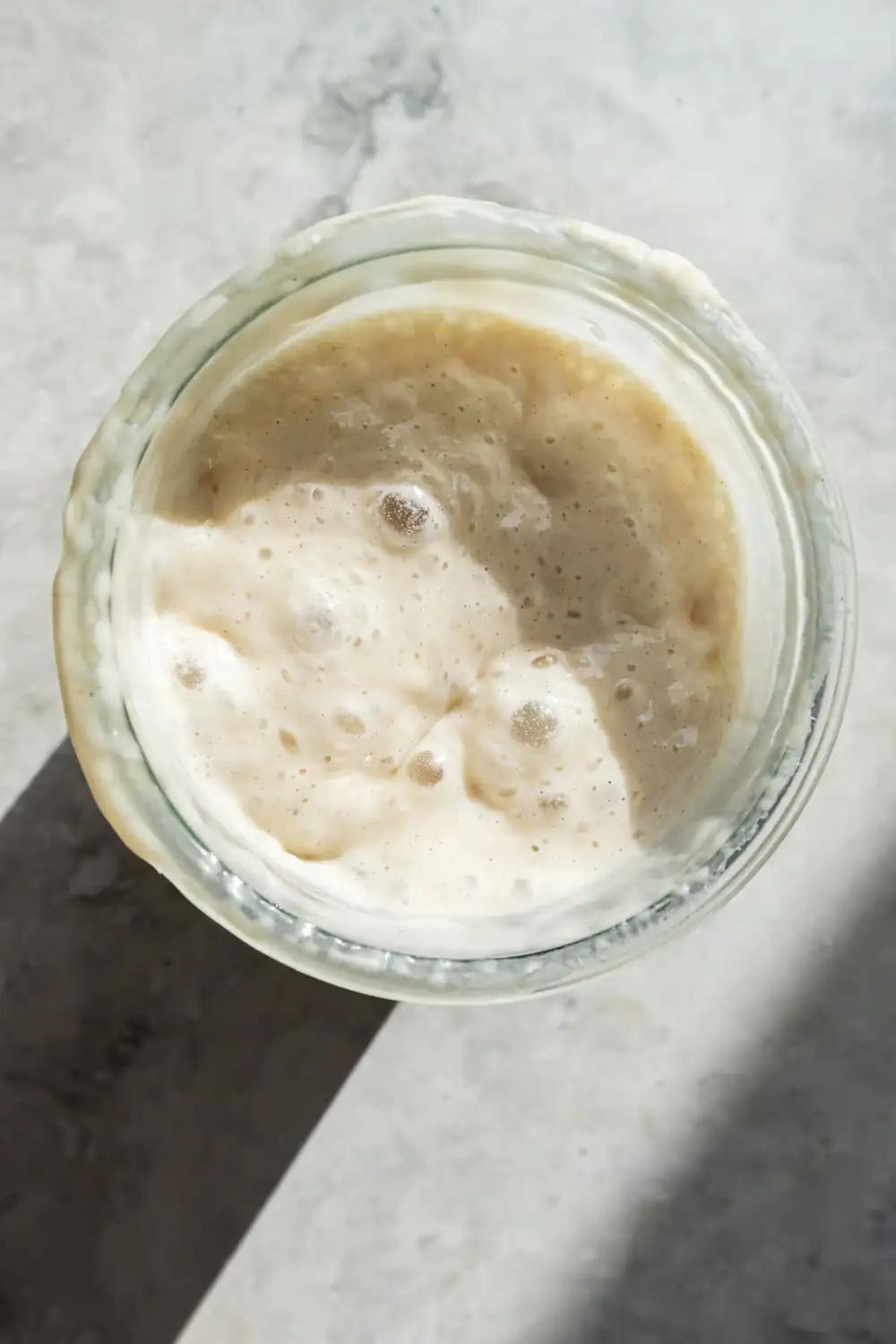 Guide to creating and maintaining a sourdough starter