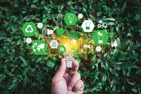 VilCap Offers 3 Pieces of Advice on Approaching Innovation for a Sustainable Food Future in New Report