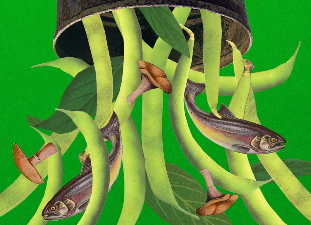 A Green Bean Casserole for the 21st Century