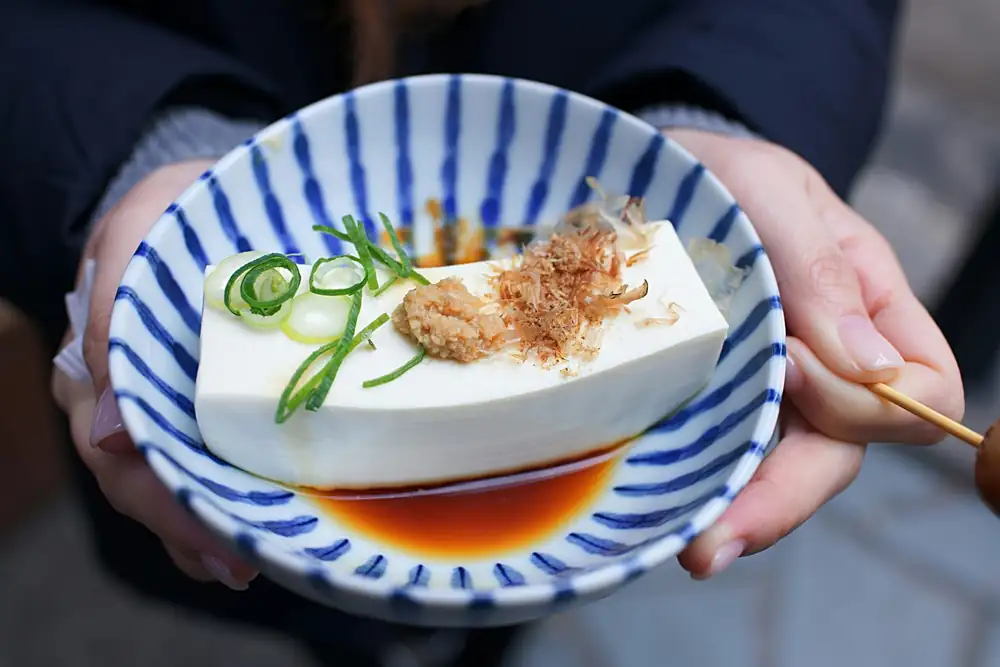 Secrets of Tofu: The Master of Flavors