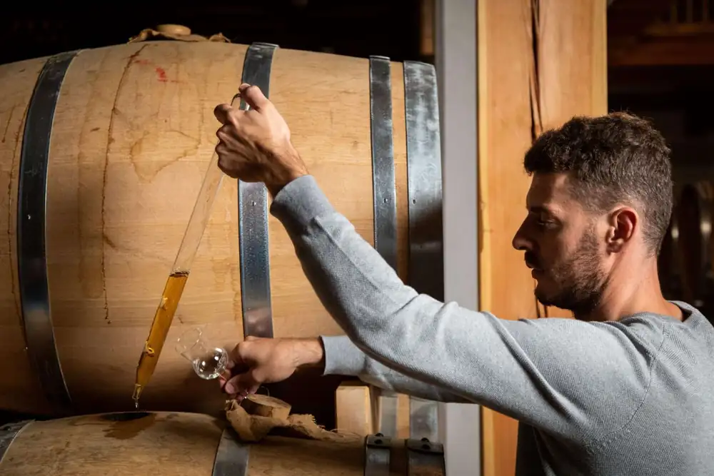 Marzadro: Grappa has great potential for blending, a point of entry into the spirits market
