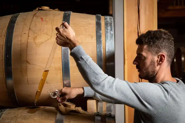 Marzadro: Grappa has great potential for blending, a point of entry into the spirits market