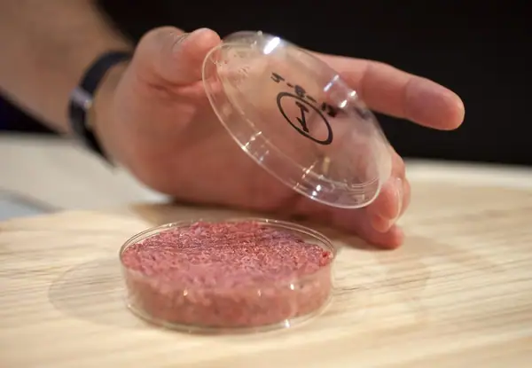 Scale is the Real Barrier for Lab-Grown Meat