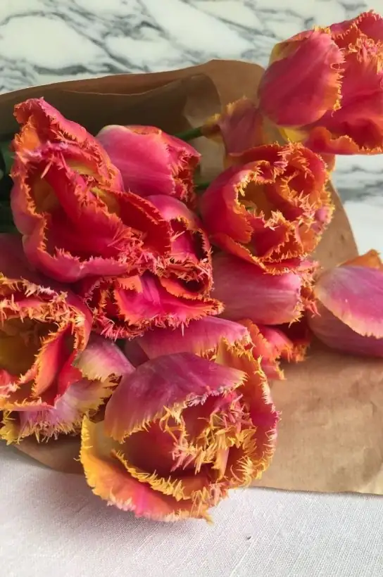 Skye Gyngell steps into Spring with new shop