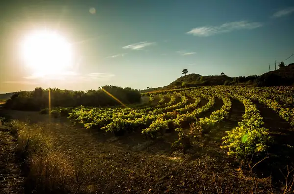 Llevando el espíritu de Rioja al Reino Unido