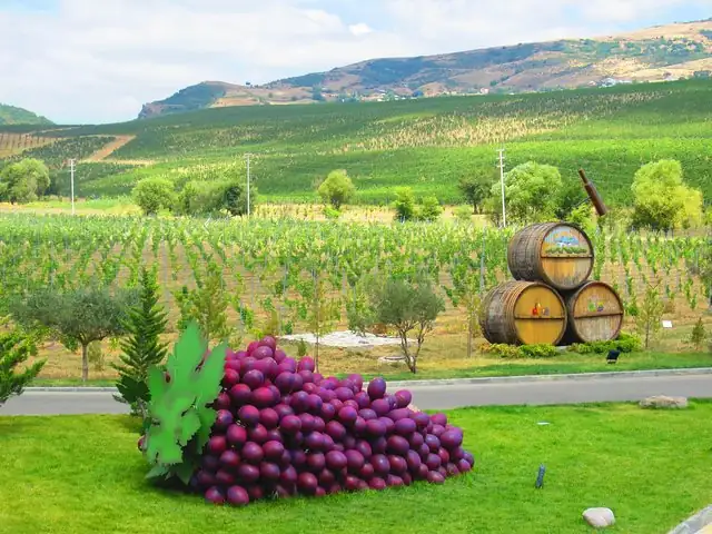 Azerbaijan Drinking Tours: Find 19 Delicious Adventures