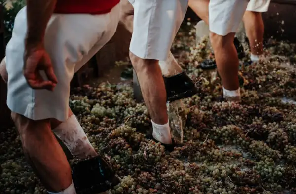 Jerez Wine Harvest Festival