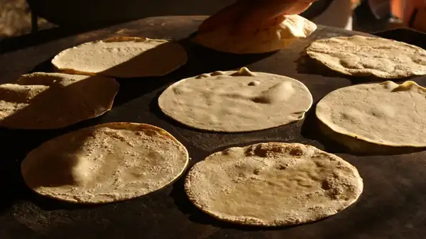 El ingenioso paso previo que debes seguir antes de congelar las tortillas