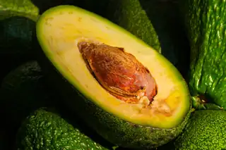 El sector australiano del aguacate se prepara para una cosecha récord en 2026