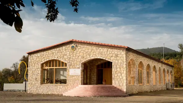 Olive Oil Library in Turkey Opens to Celebrate Cultivars and Terroir