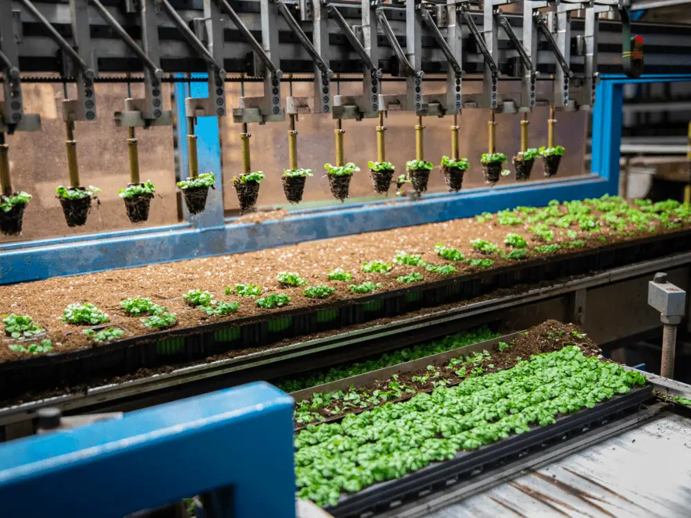 BREAKING: Soli Organic secures $125m to grow soil-based vertical farming across the US