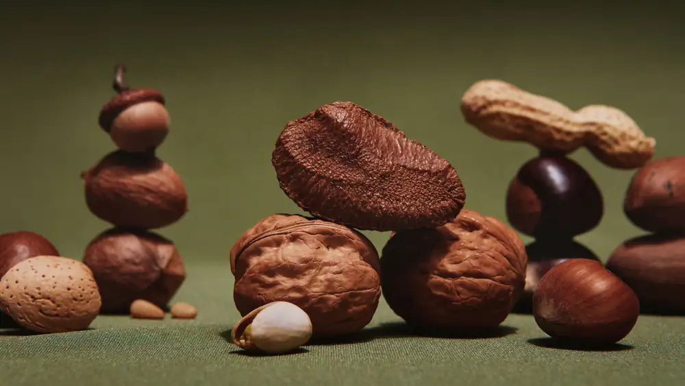 13 Types of Nuts and How to Cook With Them