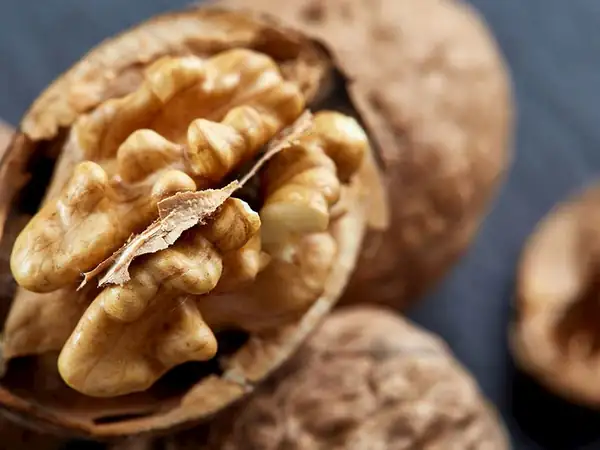 Why do nuts turn bitter?