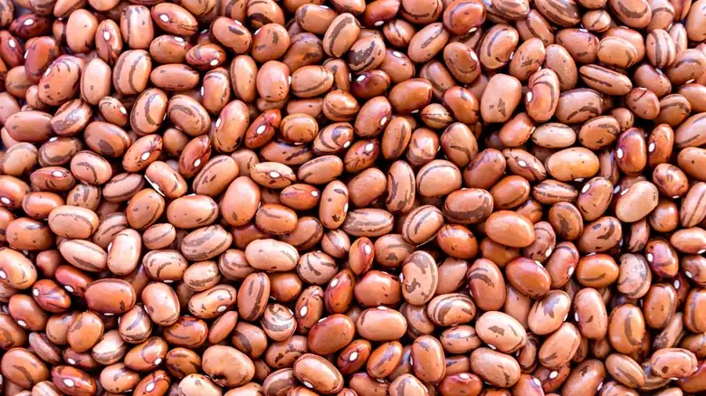 Is There A Nutritional Difference Between Black Beans And Pinto?
