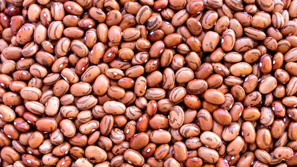 ¿Existe alguna diferencia nutricional entre los frijoles negros y los pintos?