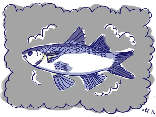 Now's the Time to Eat Smoked Mullet, a.k.a. Southern Lox