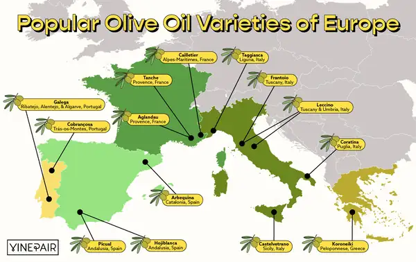 A Visual Guide to Europe's Most Popular Olive Oil Varieties, From Koroneiki to Picual [MAP]