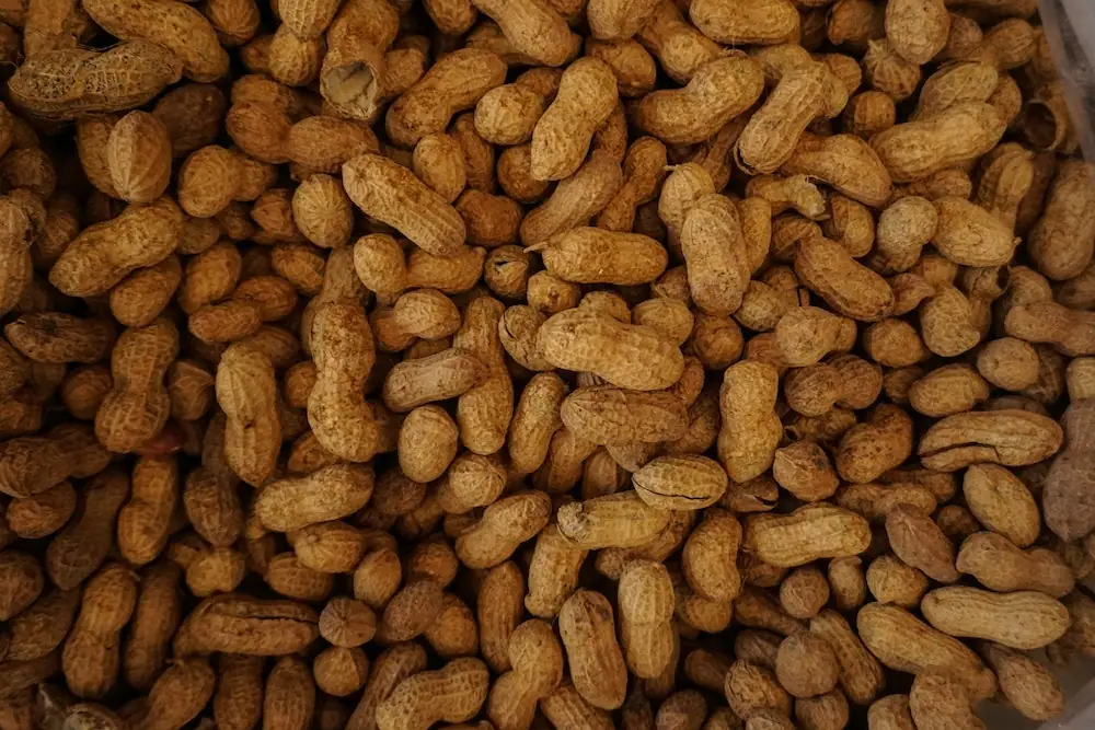 How online marketplace Traders of Africa breaking-down barriers to pan-African agri-trade