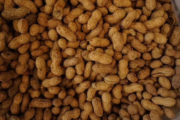 How online marketplace Traders of Africa breaking-down barriers to pan-African agri-trade