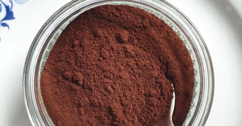 Fermtech secures £2.5m backing to scale production of cocoa alternative