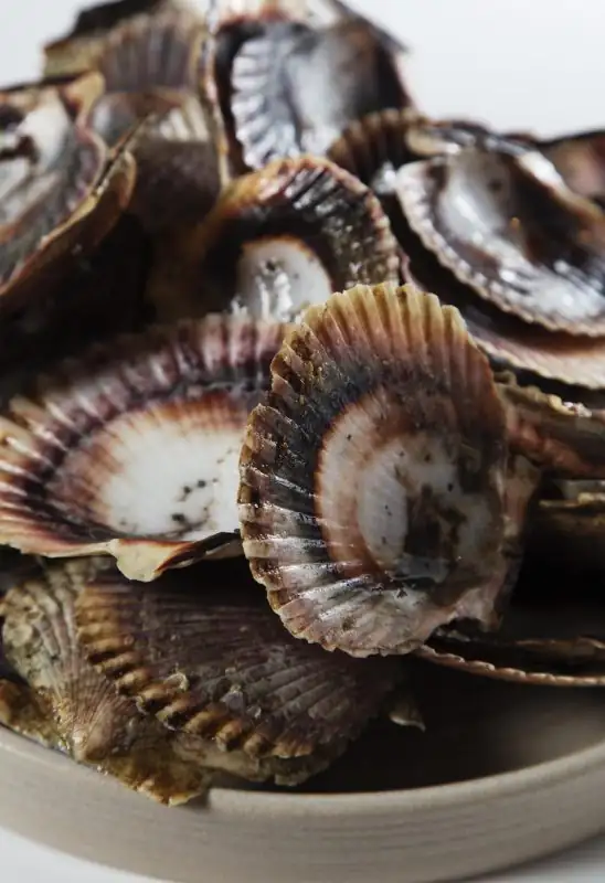 Oysters, Embers and a Garden Out Back: A Night at Crizia in Palermo Hollywood