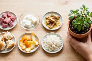 Kitchen waste you should never put in plant pots: 6 scraps that attract pests