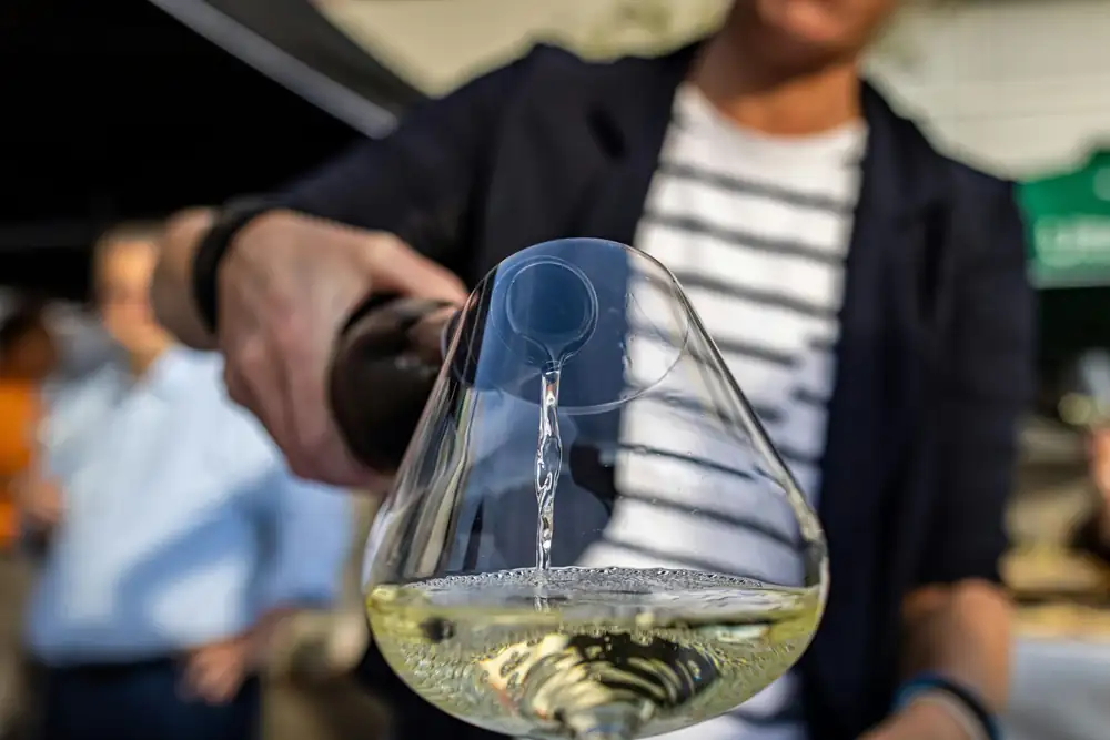 Rules for wine tasting in the cellar