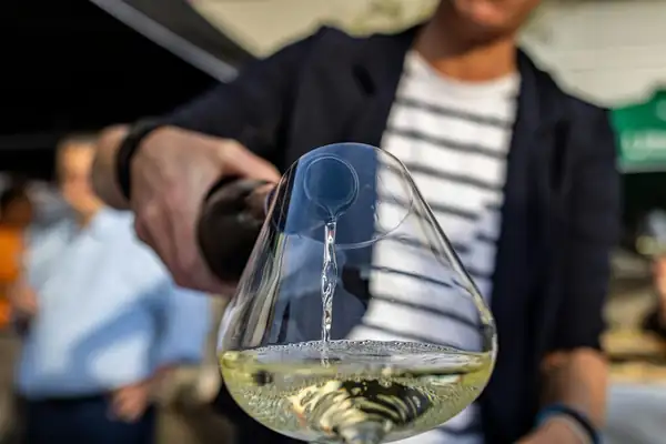 Normas para la cata de vinos en la bodega