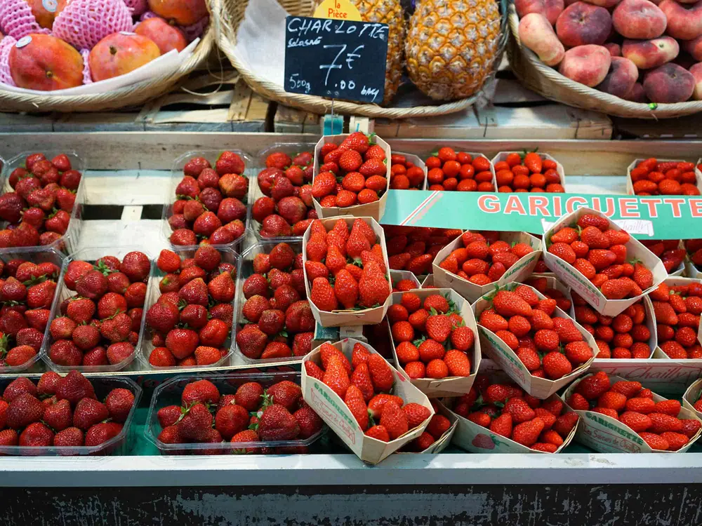 I'm Flying Across an Ocean to Wander Through Strawberry Paradise