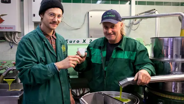 Early Harvests, Ethics and the Pursuit of Exceptional Olive Oil