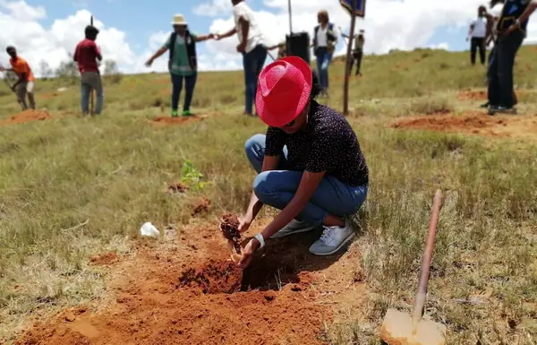 Zebu Investment Partners is supporting African agriculture from ‘dirt to dinner table’