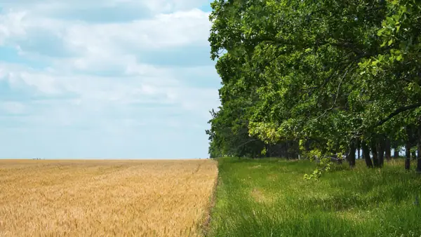 The 2024 list of agrifood corporates making regenerative agriculture commitments