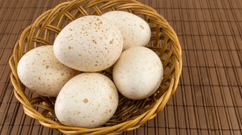 Por qué los huevos de pavo no son tan populares como los de gallina
