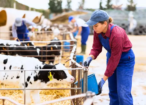 Women in the rural world